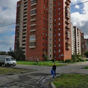 Pribrezhnaya Street, 2, Saint Petersburg: photo