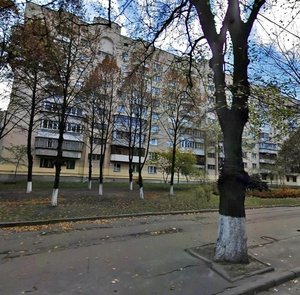 Yuriia Illienka Street, 71/73 ، كييف: صورة