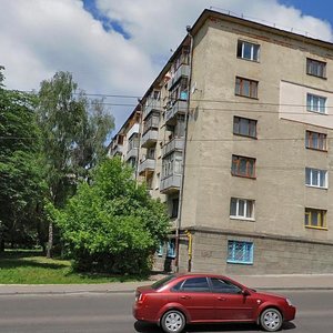 Lekha Kachyns'koho Street, 16, Zhytomyr: photo