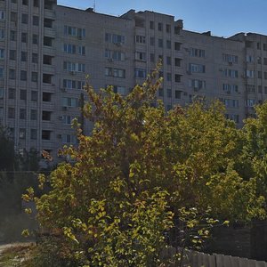 Militsionera Bukhantseva Street, 48, Volgograd: photo