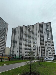 Murinskaya Road, 10к1, : foto