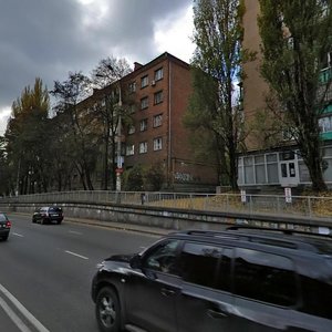 Vadyma Hetmana Street, 22, Kyiv: photo