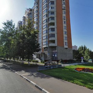 Bolotnikovskaya Street, 31к1, Moscow: photo