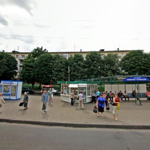 Pushkinski praspiekt, 55 ، : صورة