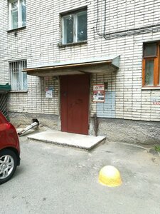 Владимир, Зелёная улица, 4: фото