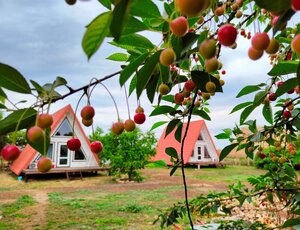 Ulitsa Yeliseyeva, 7А, Republic of Crimea: photo