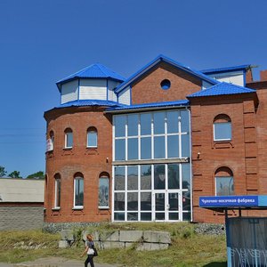 Ulitsa Vyacheslava Shishkova, 37А, Biysk: photo