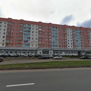 Moskovskiy Avenue, 82 ، نابريجني تشيلني: صورة