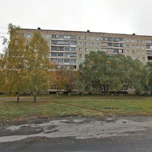 Solnechnaya Polyana Street, 29, Barnaul: photo