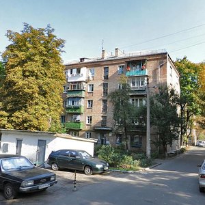 Oleny Telihy Street, 21А, Kyiv: photo