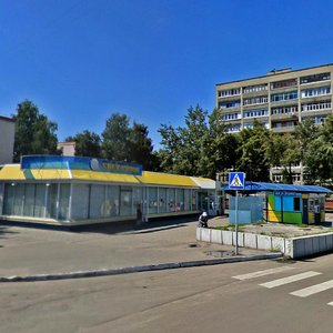 Vulica Bochkina, 182, Gomel: photo