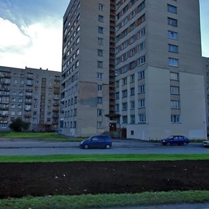 Veteranov Avenue, 150, Saint Petersburg: photo