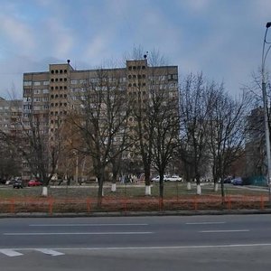 Heorhiia Honhadze Avenue, 18А, Kyiv: photo