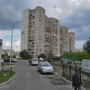 Oleksandra Koshytsia Street, 9, Kyiv: photo