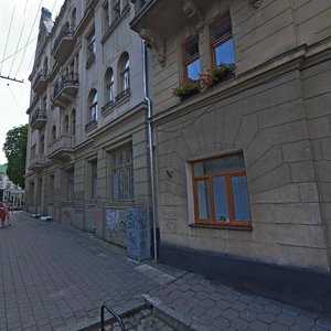 Pidvalna vulytsia, 3, Lviv: photo