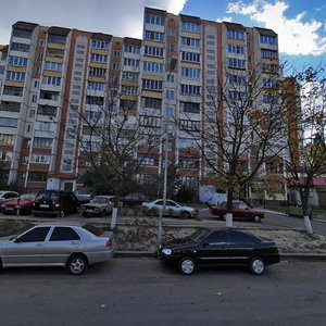 Yevropeiska vulytsia, 24А, Vyshneve: photo