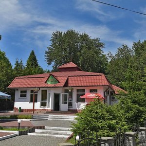 Трускавец, Тихий переулок, 5: фото