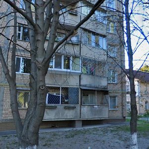 Polovyi Lane, 6, Kyiv: photo