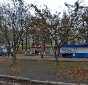 Volhohradska Street, 21А, Kyiv: photo