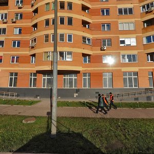 Karamyshevskaya Embankment, 4к1, Moscow: photo