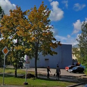Пушкин, Красносельское шоссе, 23А: фото