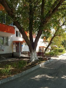 Gafuri Street, 15 ، أوفا: صورة