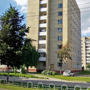 Vulica Barykina, 169, Gomel: photo