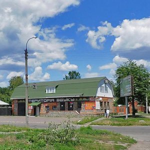 Nadpilna vulytsia, 141, Cherkasy: photo