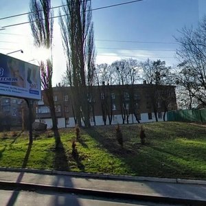 Schusieva Street, 35, Kyiv: photo