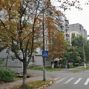 Mashynobudivna Street, 14, Kyiv: photo