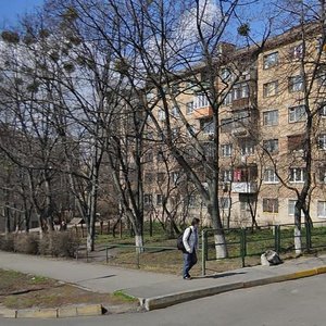 Marii Pryimachenko Boulevard, 9, Kyiv: photo