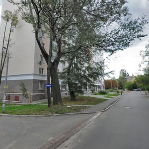 Vitriani Hory Street, 2Б, Kyiv: photo