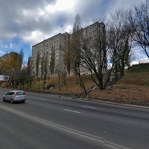 Oleny Telihy Street, 57, Kyiv: photo