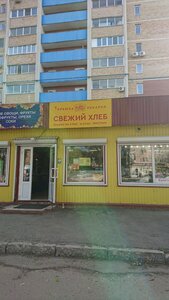 Gagarina Street, 23Б, Samara: photo