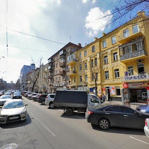 Shota Rustaveli Street, 8, Kyiv: photo