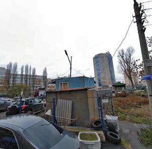 Viacheslava Chornovola Street, 27, Kyiv: photo