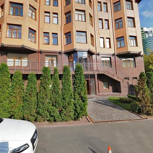 Zelenohirska Street, 8, Kyiv: photo