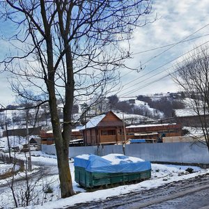 Vulytsia Shevchenka, 15, Zakarpattia District: photo