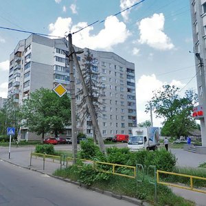 Kniaziv Ostroz'kykh Street, 131, : foto