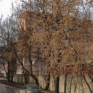 Oktyabrskiy Gorodok Microdistrict, 49, Ryazan: photo