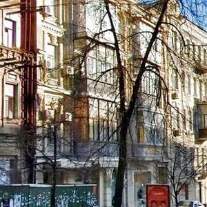 Velyka Vasylkivska Street, 41, Kyiv: photo