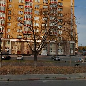 Heroiv Stalinhrada Avenue, 6к6, Kyiv: photo