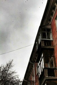 Polkovaya ulitsa, 41, Omsk: photo