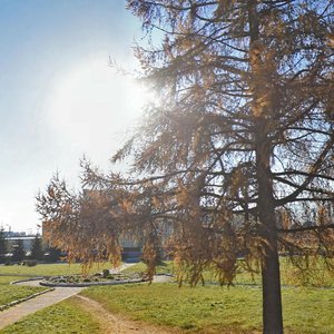 Tsentralnaya ulitsa, 13, : foto