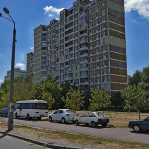 Vyshniakivska Street, 6А, Kyiv: photo