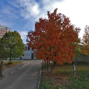 Sergeeva Drive, 14 ، : صورة