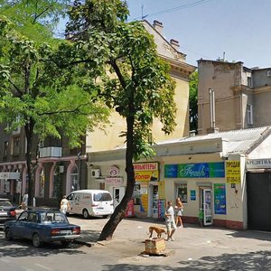 Katerynynska vulytsia, 91, : foto