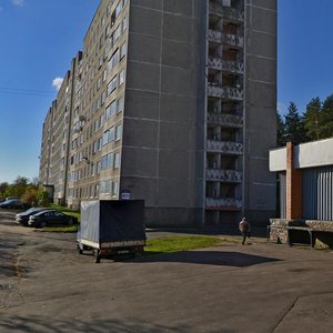 Halmagorskaja Street, 47/1, Minsk: photo