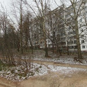 Gagarina Avenue, 224, Nizhny Novgorod: photo