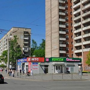 Khudozhnikov Avenue, 16А, Saint Petersburg: photo